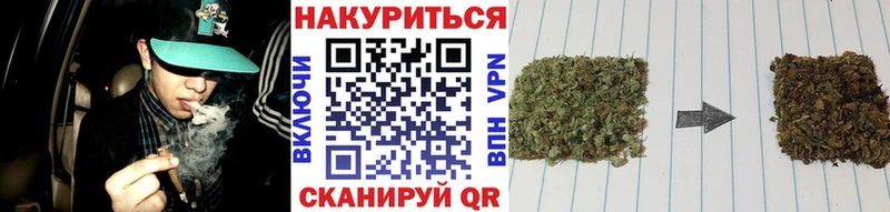 где можно купить Усть-Катав Конопля SATIVA & INDICA